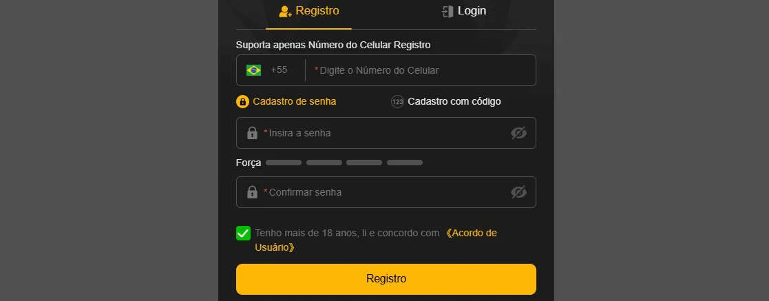Como Fazer o Registro br456 Passo a Passo